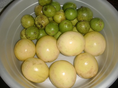 CIMG6386
